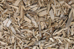 biomass boilers Mangerton