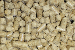 Mangerton biomass boiler costs